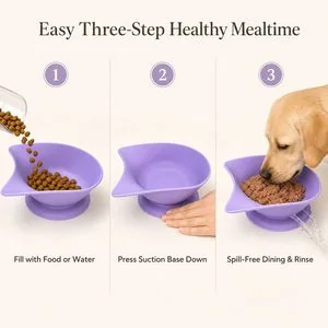 Gamelle inclinée ergonomique en silicone pour animaux — Mode d'emploi